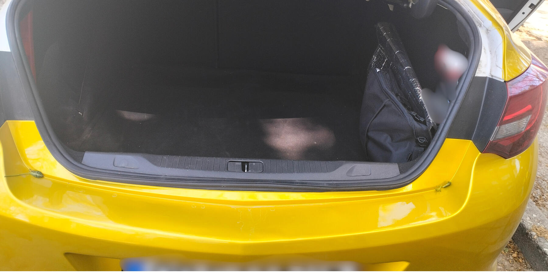 professional driver Plovdiv airport transfer