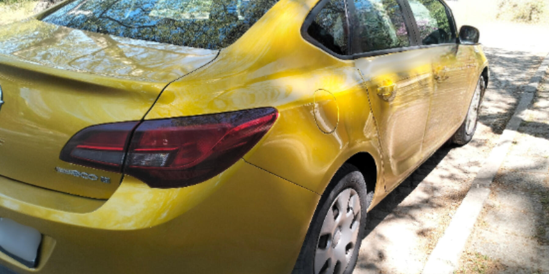 professional driver Plovdiv airport transfer