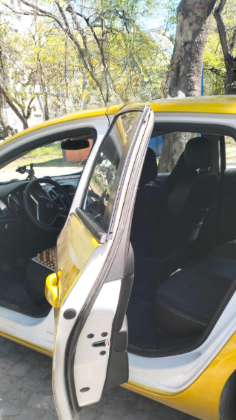 professional driver Plovdiv airport transfer